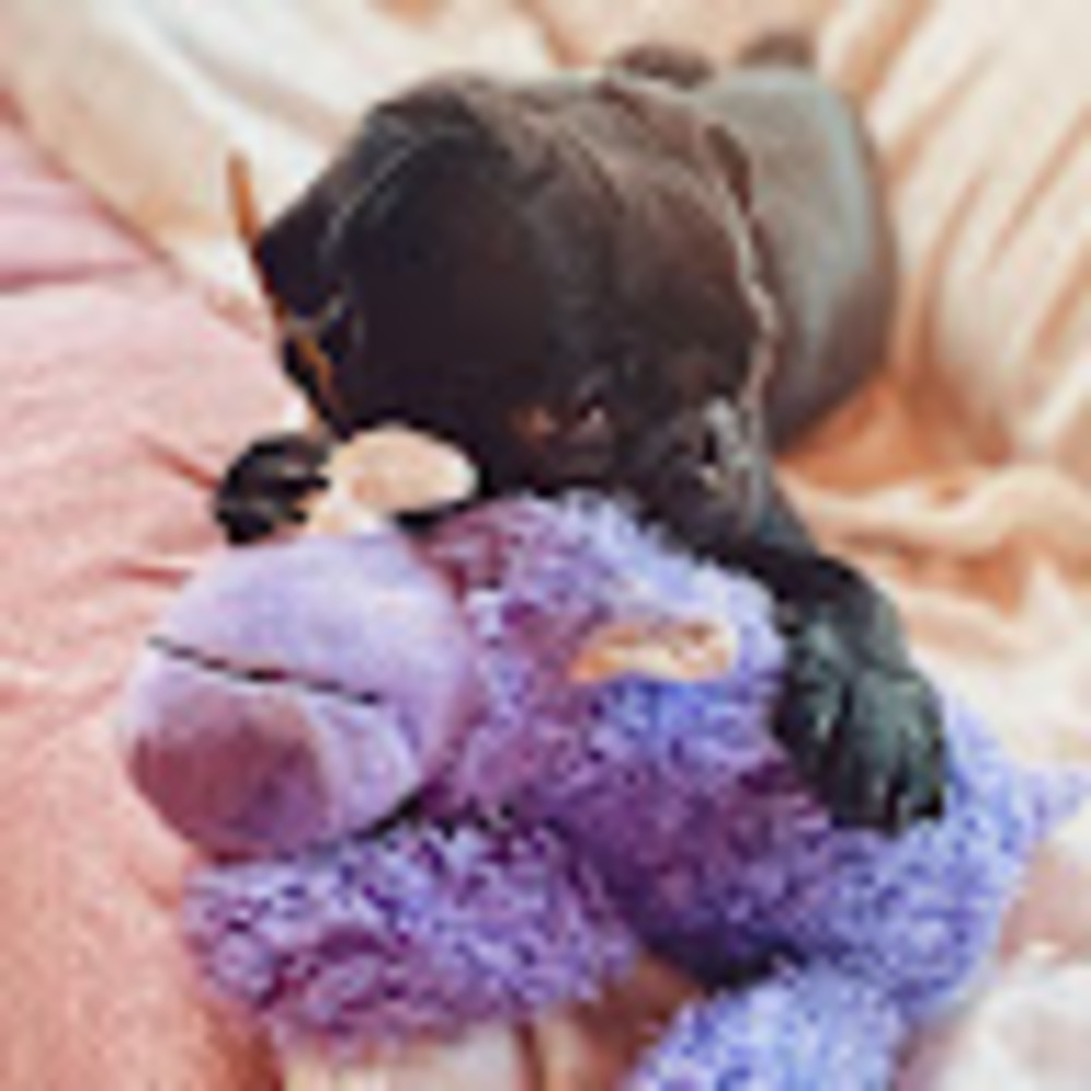 Meet your Posher, Coco